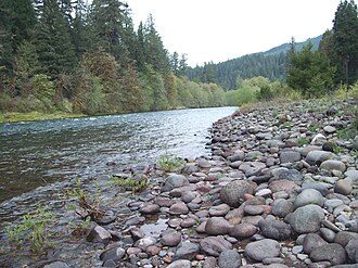 The McKenzie River flowing through forest near Nimrod, Oregon